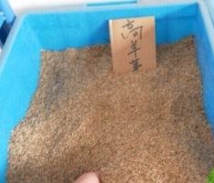 使用煙臺海藻酸鈉的應(yīng)用都有哪些范圍？
